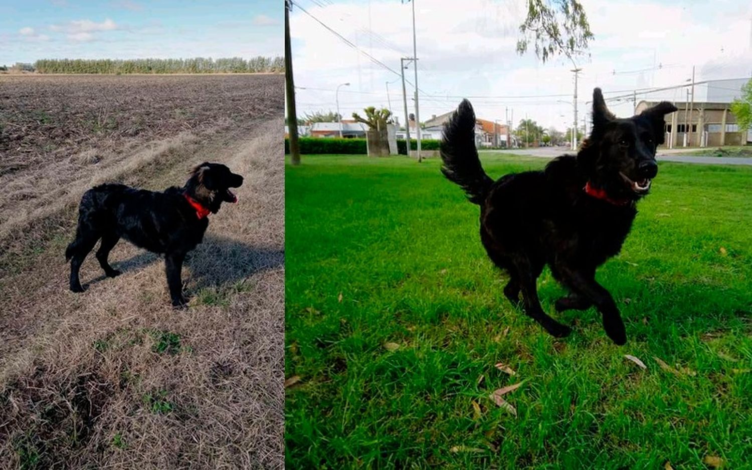 Lo buscan en Basavilbaso al 600