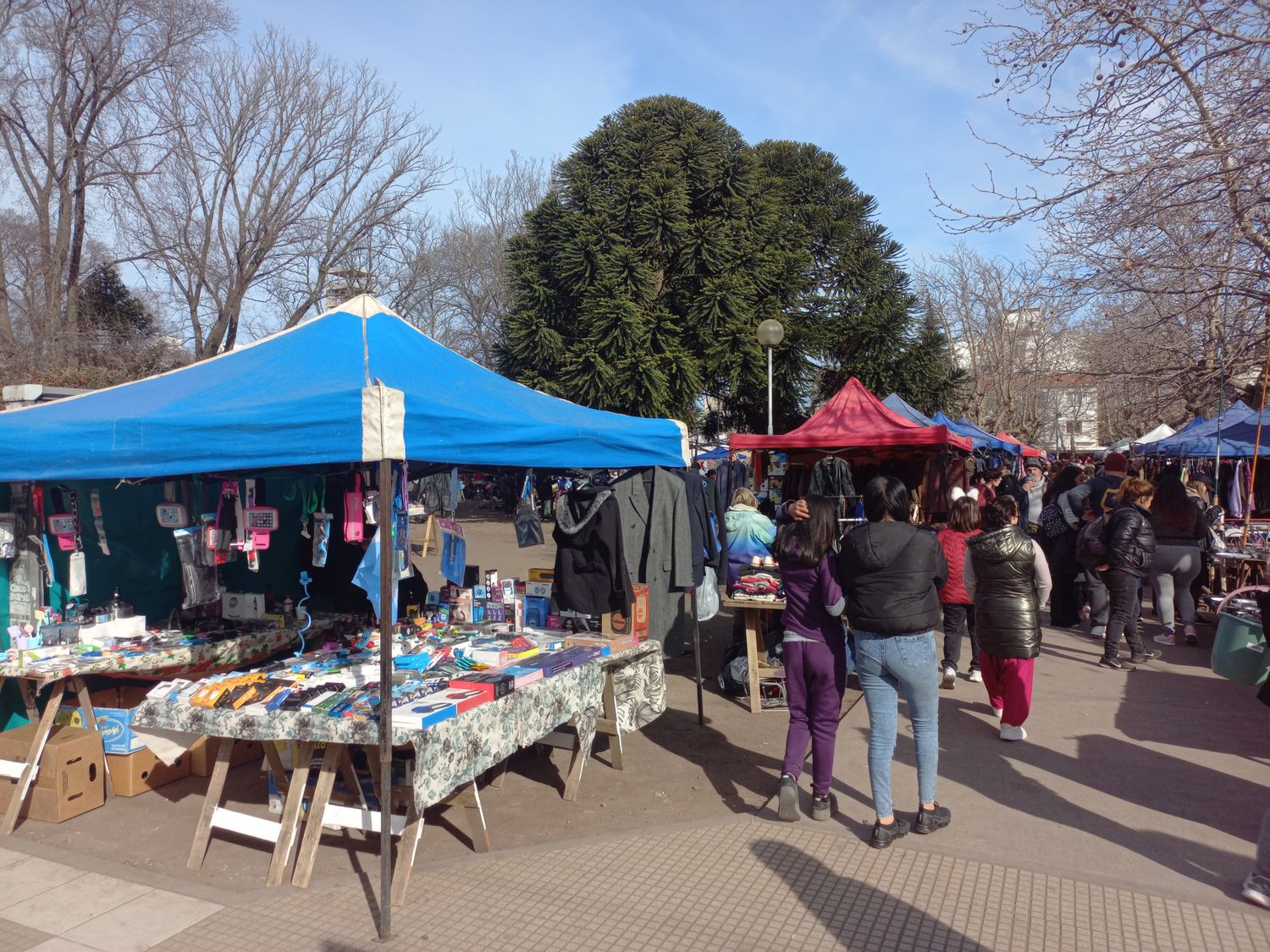 La Feria Rocha, donde le madrugan al sol "para llevar un plato de comida a casa”