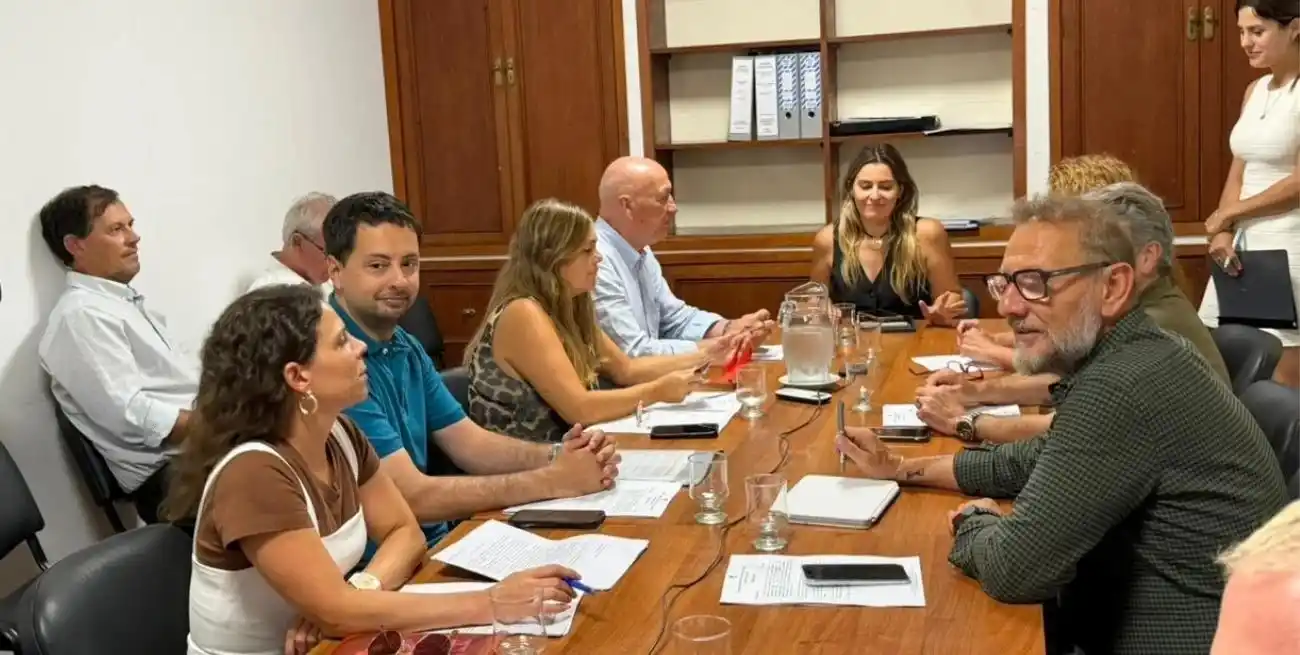 Reunión previa de la Comisión de Acuerdos encabezada por Lionella Cattalini. Foto: Gentileza