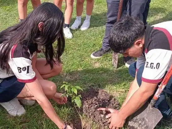 Estudiantes plantaron árboles en el patio escolar
