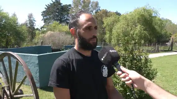 Cómo actuar ante la aparición de serpientes en distintos espacios