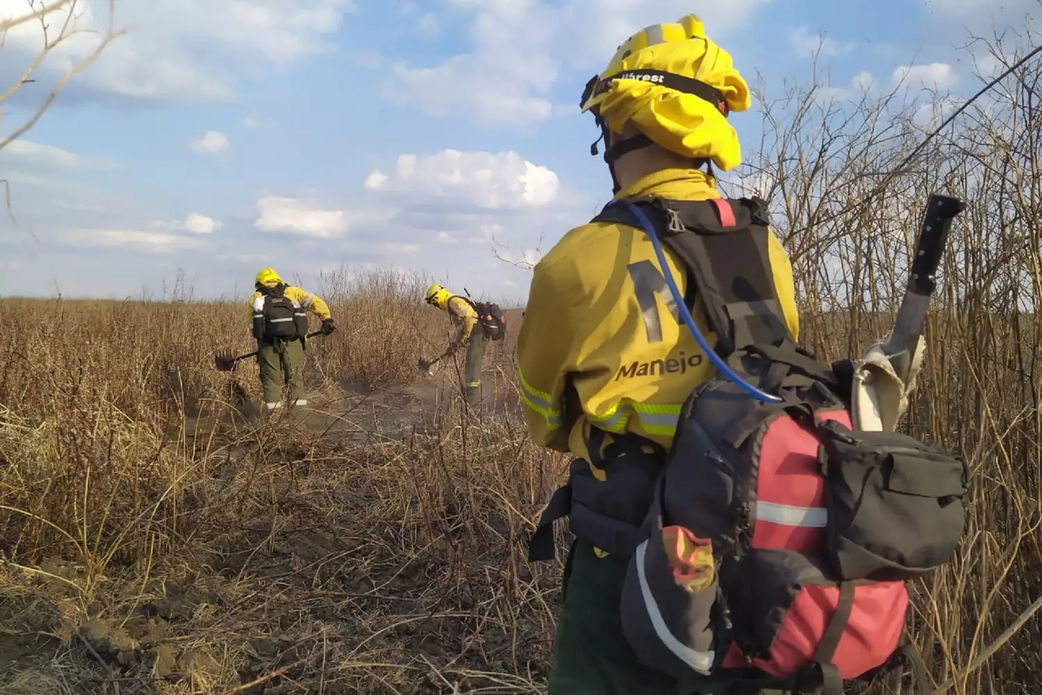 Riesgo de incendios: Entre Ríos prohíbe quemas hasta febrero de 2026
