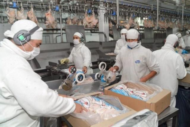 La industria avícola se adapta a la cuarentena y mantiene su ritmo de producción
