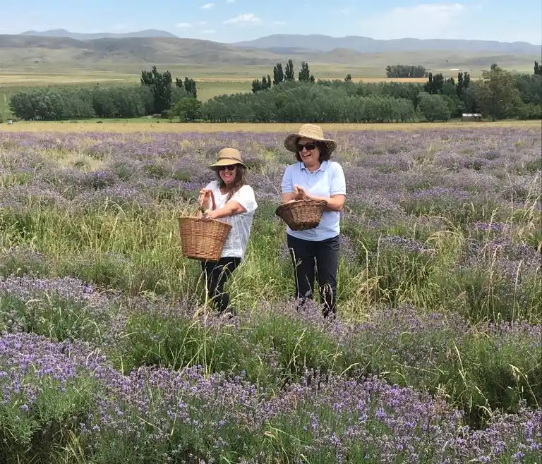 Sierras y campos de lavanda, una escapada inolvidable al sudoeste bonaerense