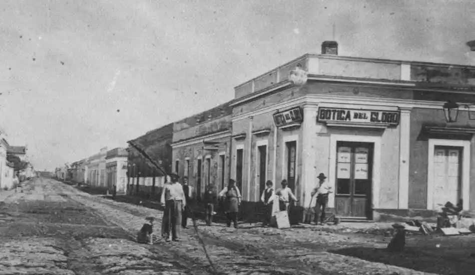 Las pestes que hicieron historia en la patria chica