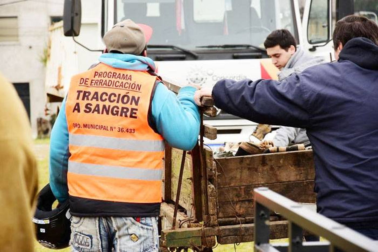 El programa de erradicación de la Tracción a Sangre  continúa consolidándose  como política de estado