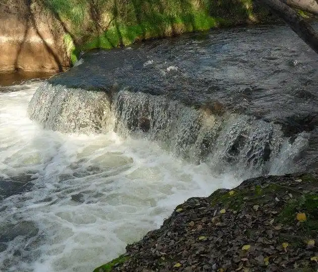 Coronel Pringles, al sudoeste de la provincia, donde la postal de ensueño que enamora se completa con los colores de la flora autóctona.