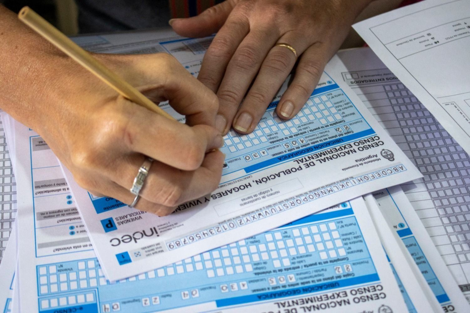 Feriado por el Censo: quiénes trabajan y qué sucederá con el transporte público