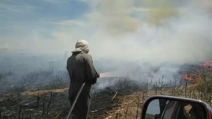 Bomberos trabajó en un incendio de 40 hectáreas