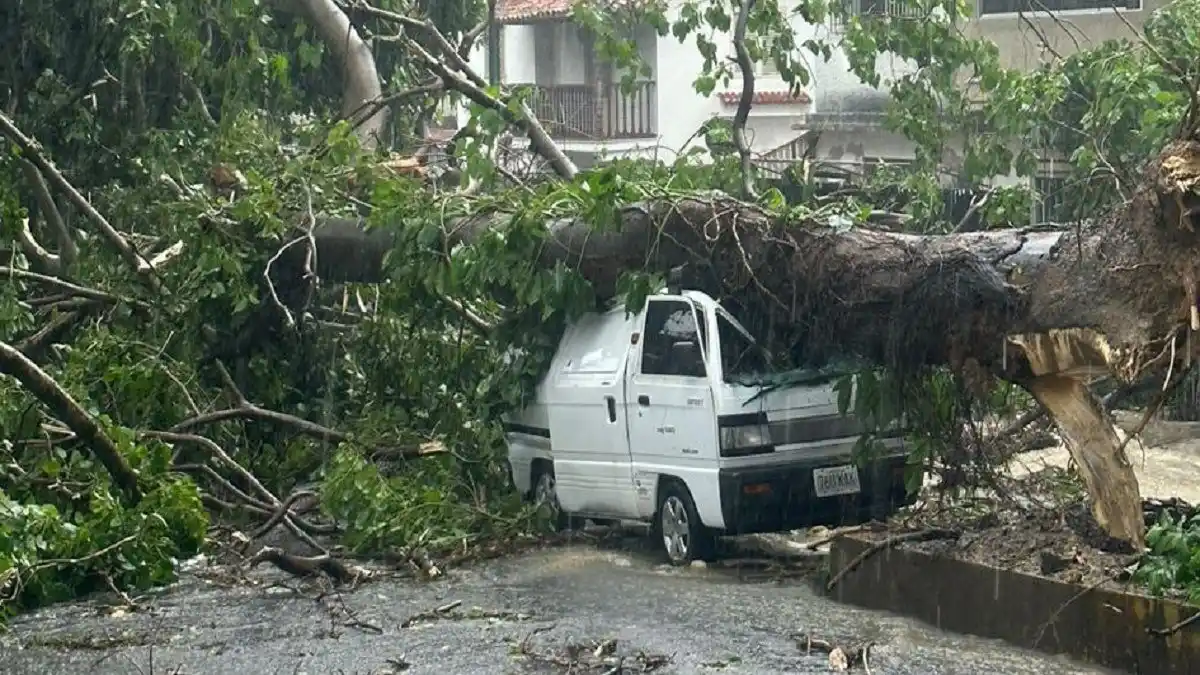 ¡ÁRBOLES CAÍDOS POR FUERTES RÁFAGAS! LLUVIAS provocan alertas en Caracas