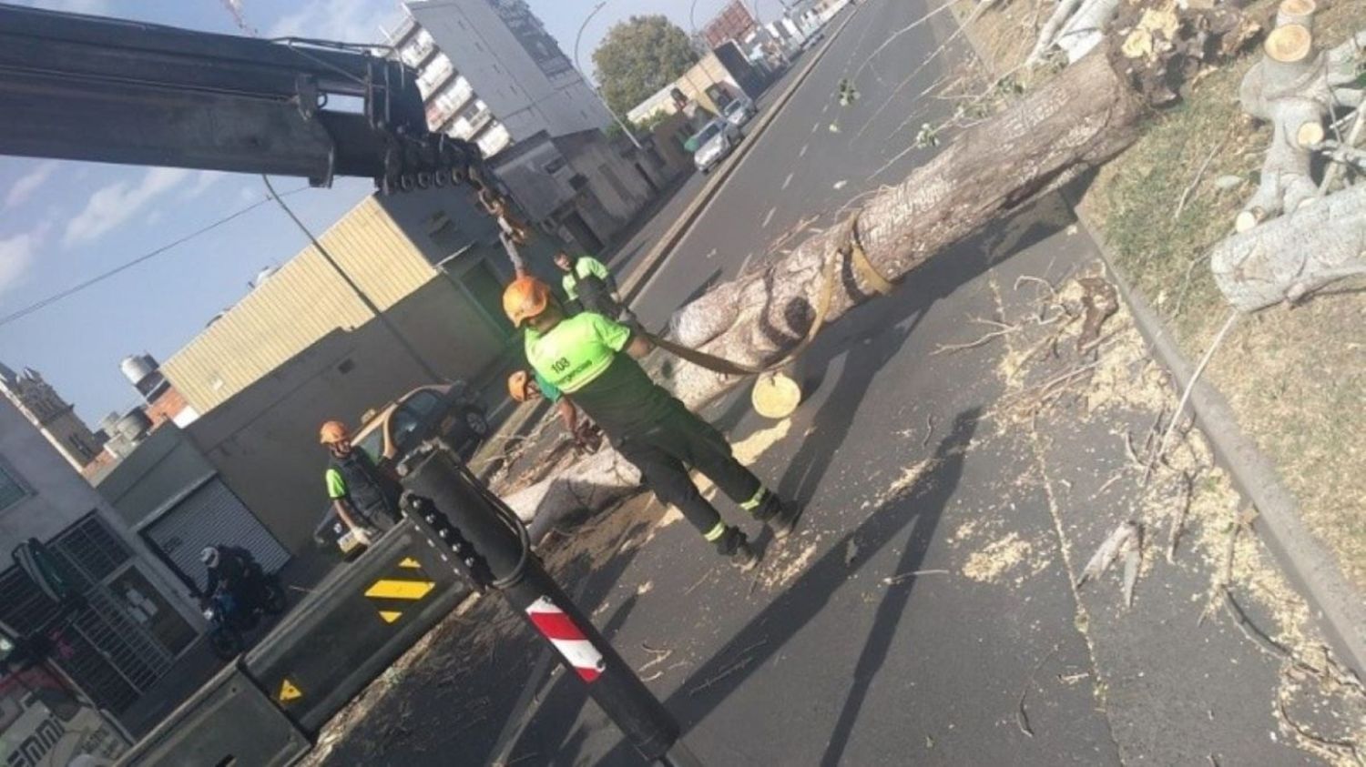 Con ráfagas que alcanzaron los 70 km/h, hubo unos 50 árboles caídos en Rosario