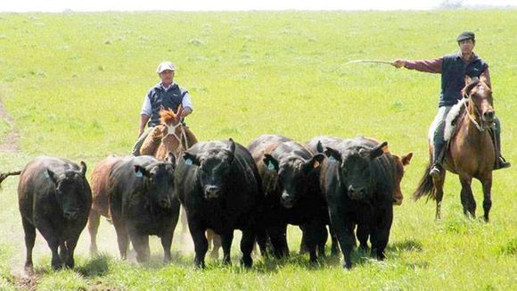 Entidades rurales  frenaron el bono a  trabajadores y señalan que su pago será �Suna decisión individual⬝