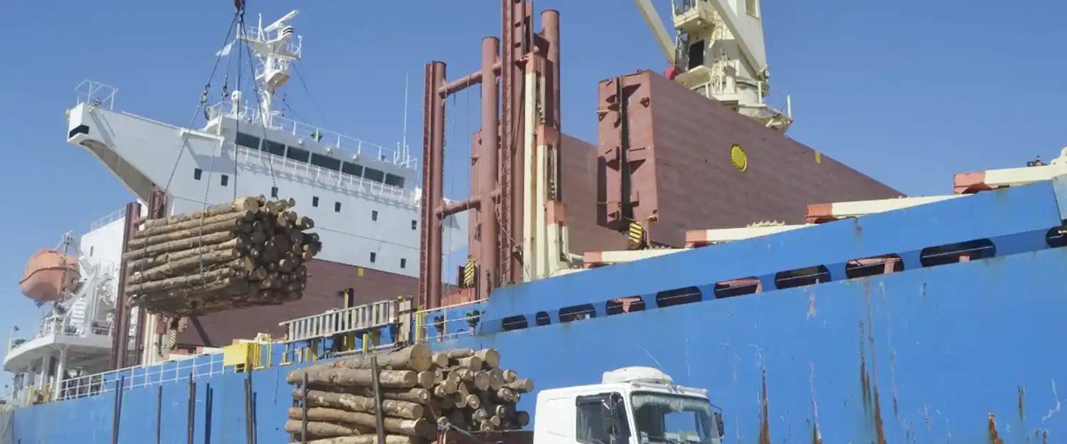 Amavet abordó la misión de disminuir las brechas de rendimientos en cadenas productivas claves