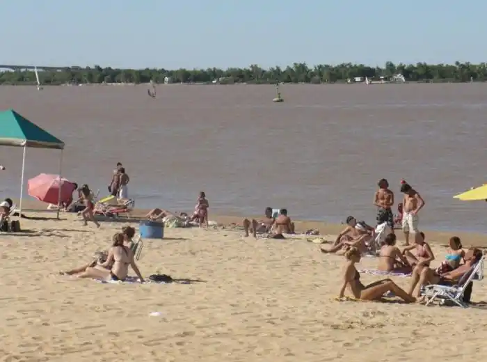 Las palometas volvieron a atacar en la Rambla Catalunya