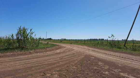 Emergencia agropecuaria: el Gobierno anunció una nueva prórroga
