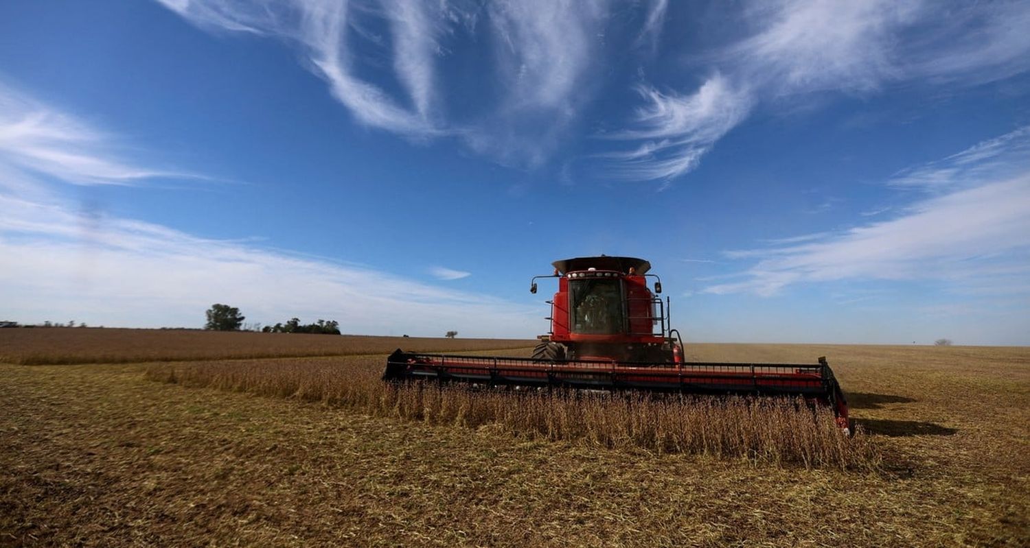 Los números fueron dados a conocer en el informe que elaboran la Cámara de la Industria Aceitera de Argentina y el Centro de Exportadores de Cereales.