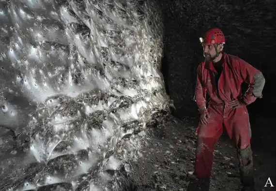 Encontraron la telaraña más grande del mundo en una cueva de azufre entre Grecia y Albania