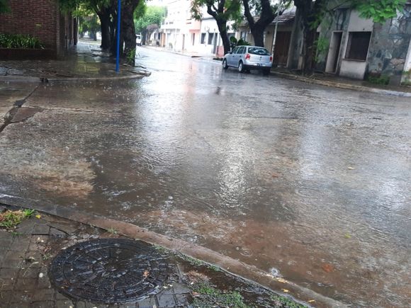 Temporal: más de 50 milímetros de lluvia, un árbol caído y recorrida de Defensa Civil