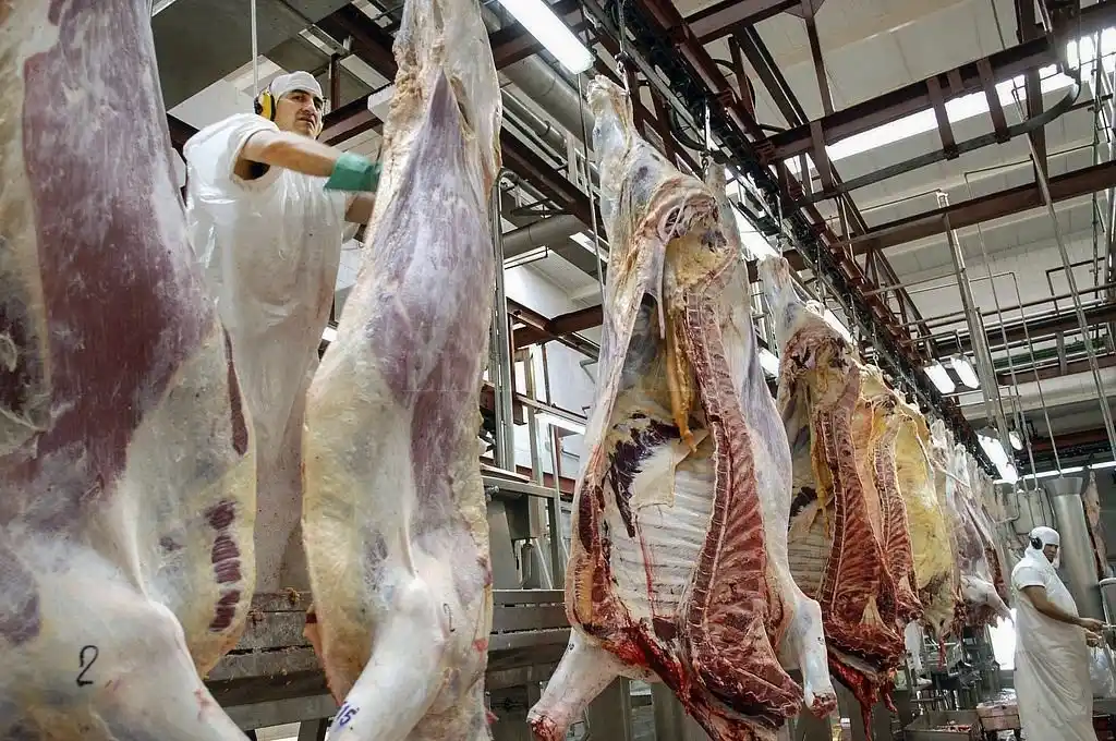 El Gobierno anunciará plan ganadero mientras negocia con exportadores