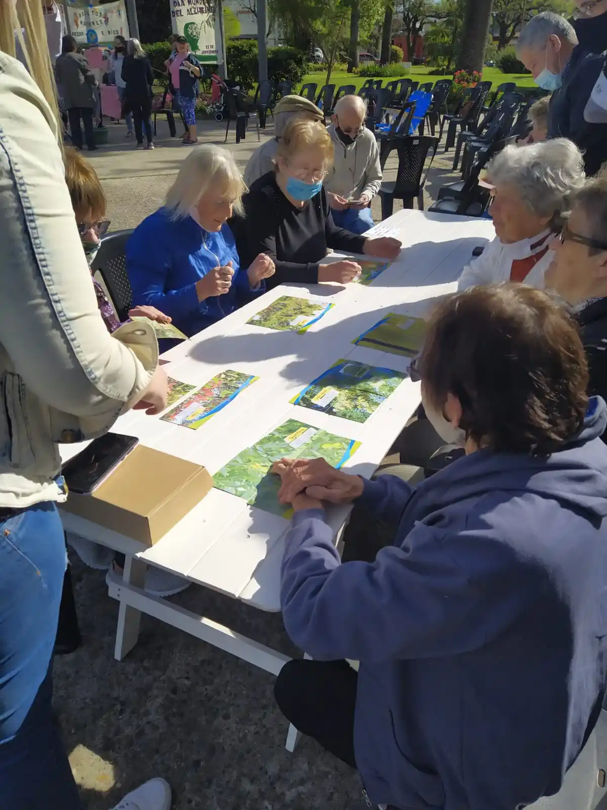 Adultos mayores en acción