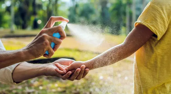 Mosquitos, pero no de la especie del dengue