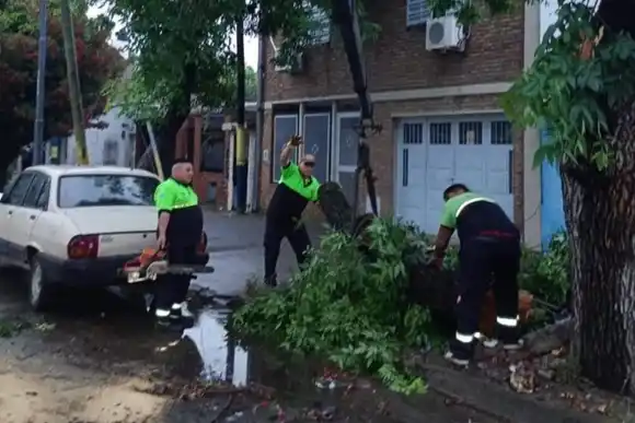 Caída de árboles y columnas: más de 100 reclamos tras las tormentas en Rosario