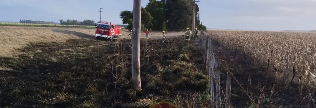 Bomberos de Claromecó apagaron incendio de pastos en Ruta 73