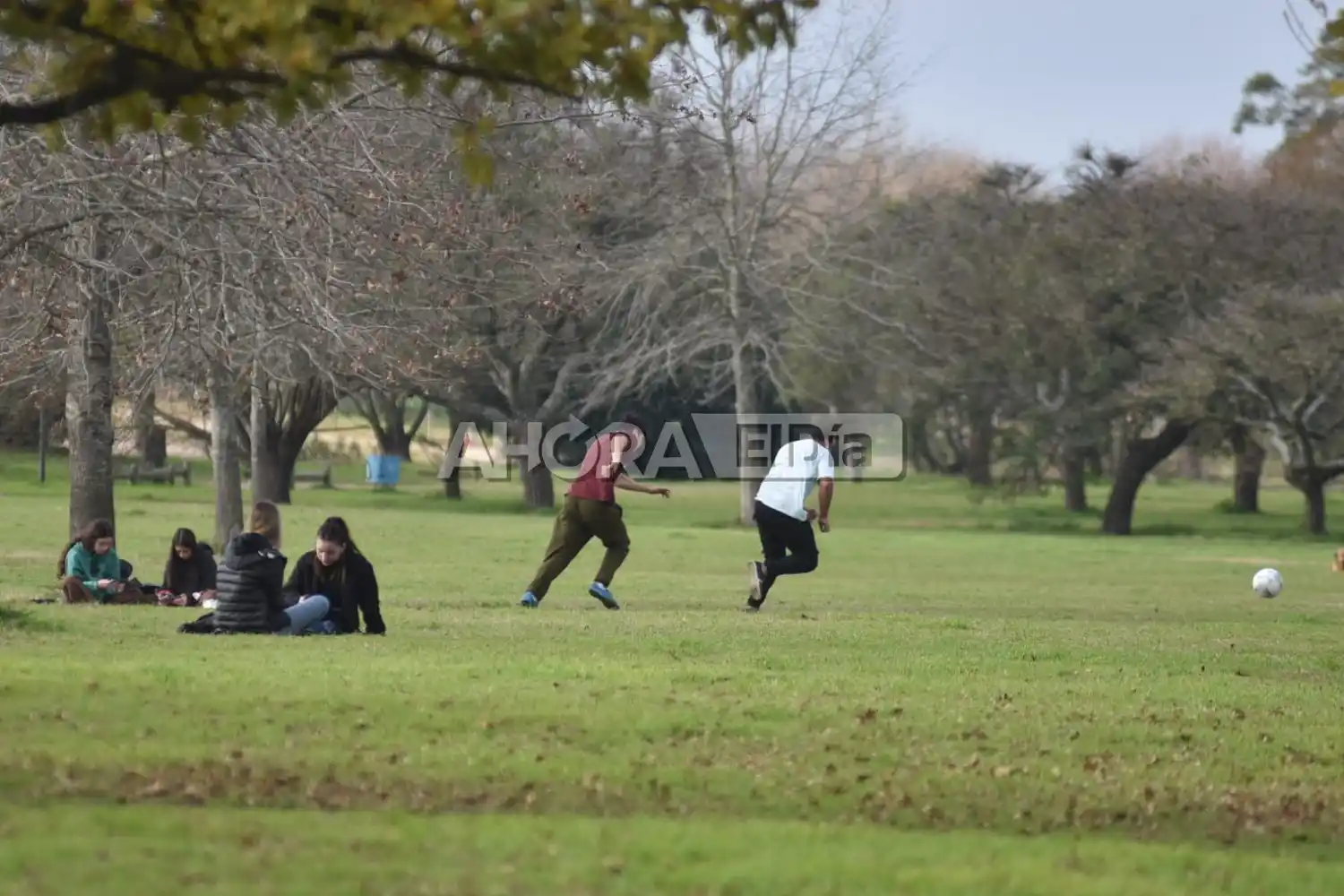dia del amigo dia de la amistad - 6