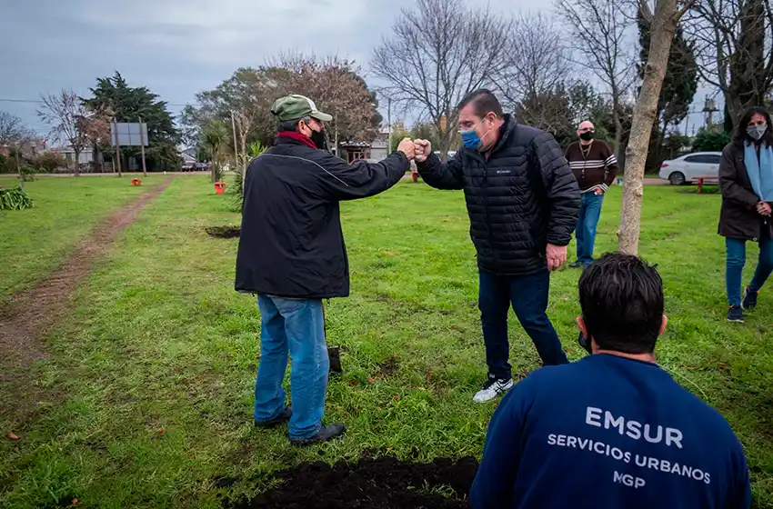Prevén la plantación de alrededor de 6 mil árboles en más de 50 barrios marplatenses