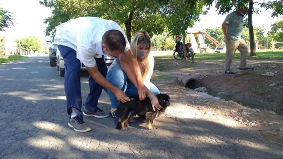 Rescatistas postergaron la marcha en reclamo por castraciones y protección a los animales.