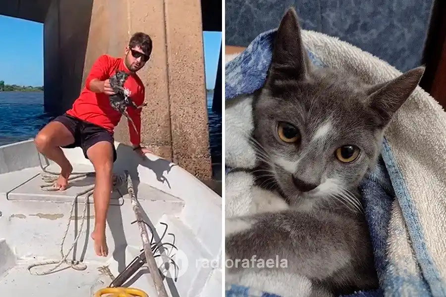 Una historia que nos conmueve a todos, un heroe que salvó a un gatito bebe de una muerte segura