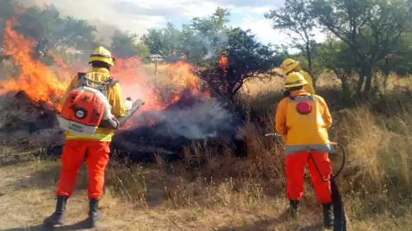 Los incendios afectan más de un millón de hectáreas en La Pampa, Río Negro y Buenos Aires
