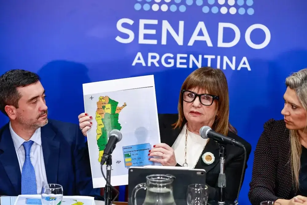 Patricia Bullrich, hoy en el Senado. 

Prensa Senado.