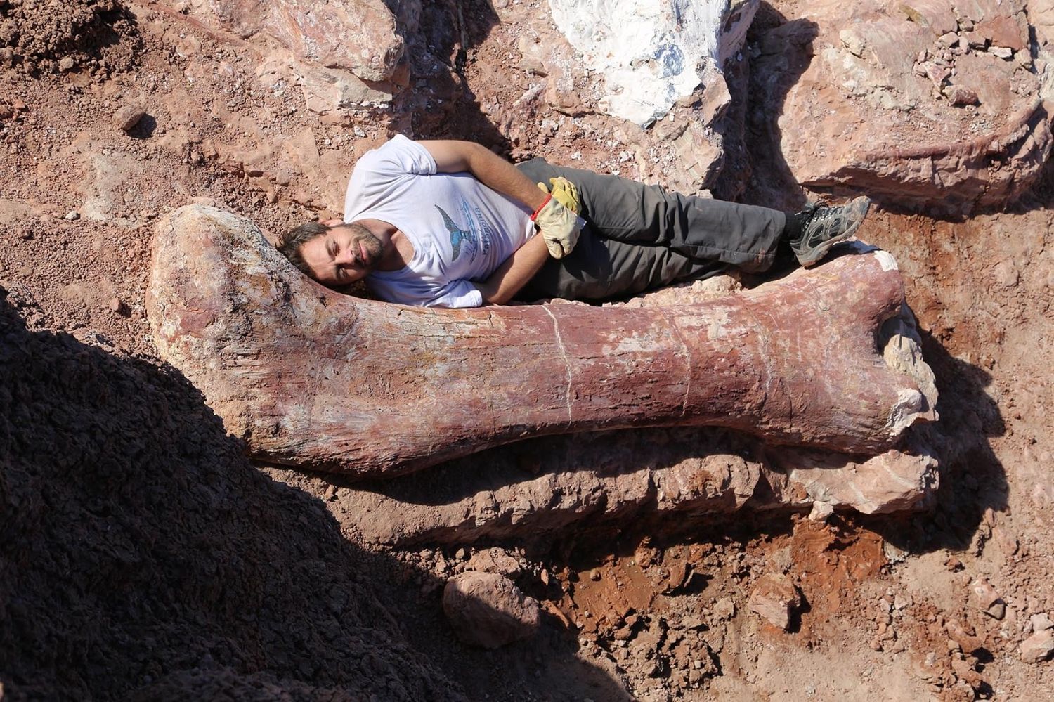 Diego Pol fue galardonado en Paleontología con el prestigioso Premio Konex de Platino 2023