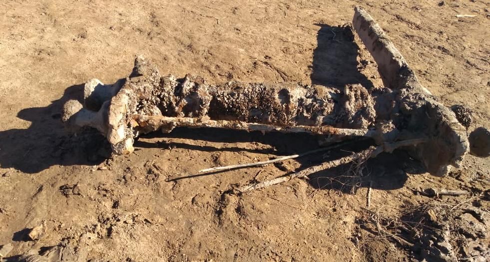 Vuelta de Obligado: hallaron un elemento de madera e investigarán si está relacionado a la Batalla