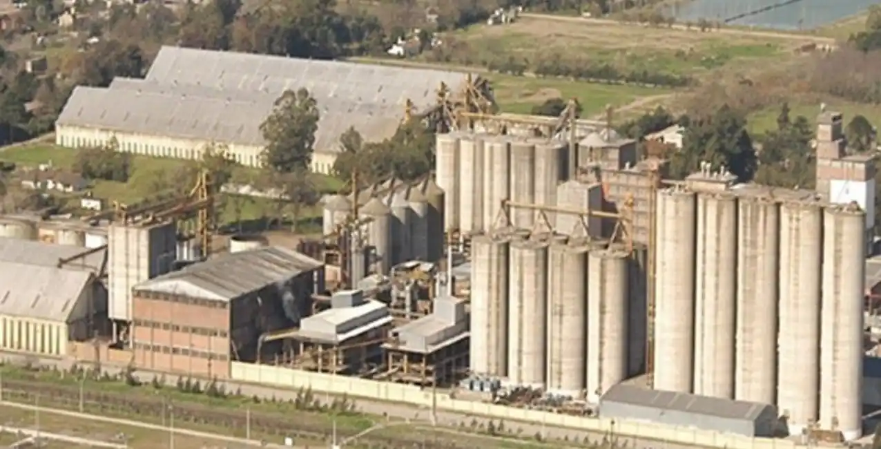 La empresa alimenticia Molino Cañuelas pidió un concurso preventivo de acreedores
