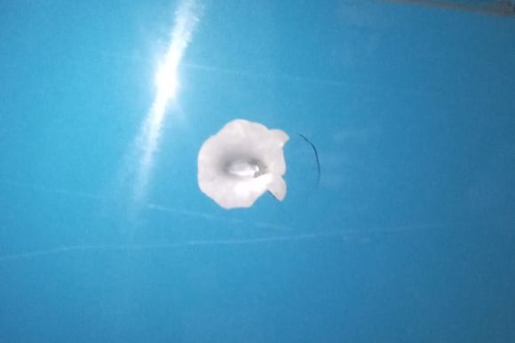 Imputaron a la policía del 911 acusada de filtrar información a su novio preso por una balacera a un colectivo