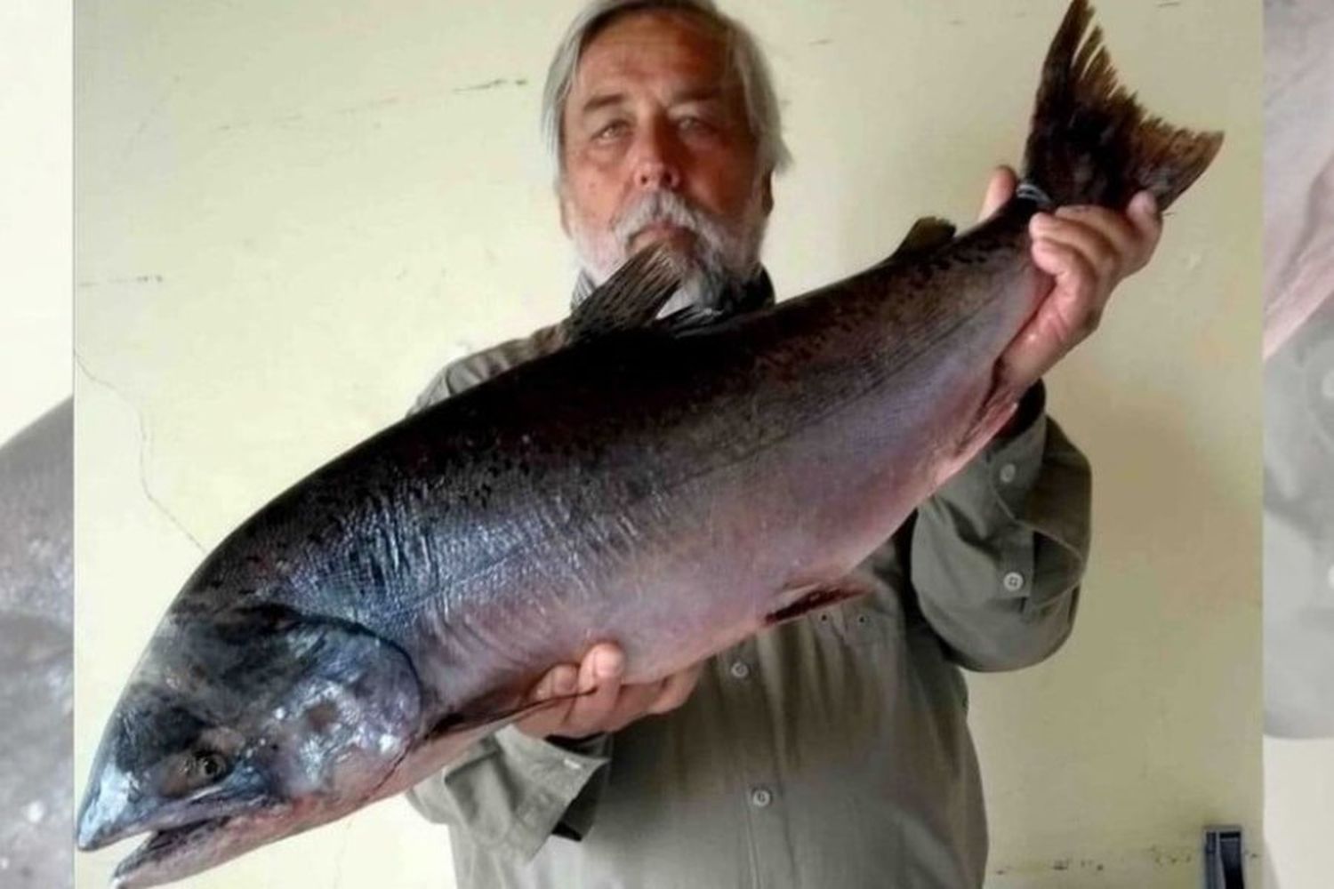 Ejemplar capturado en 2020 en el río Uruguay. Foto: Gentileza Fabio Baena