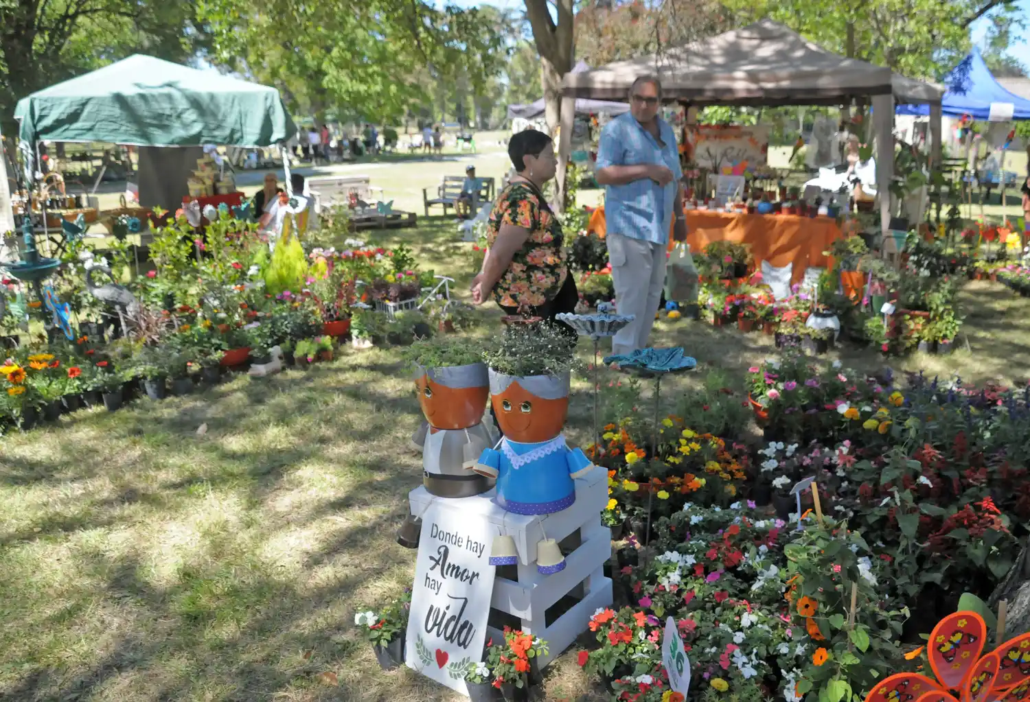 Agenda social y cultural