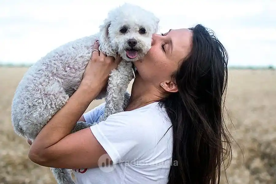 Día del Animal: “Buscamos el encuentro entre el tutor y el vínculo con el perro”