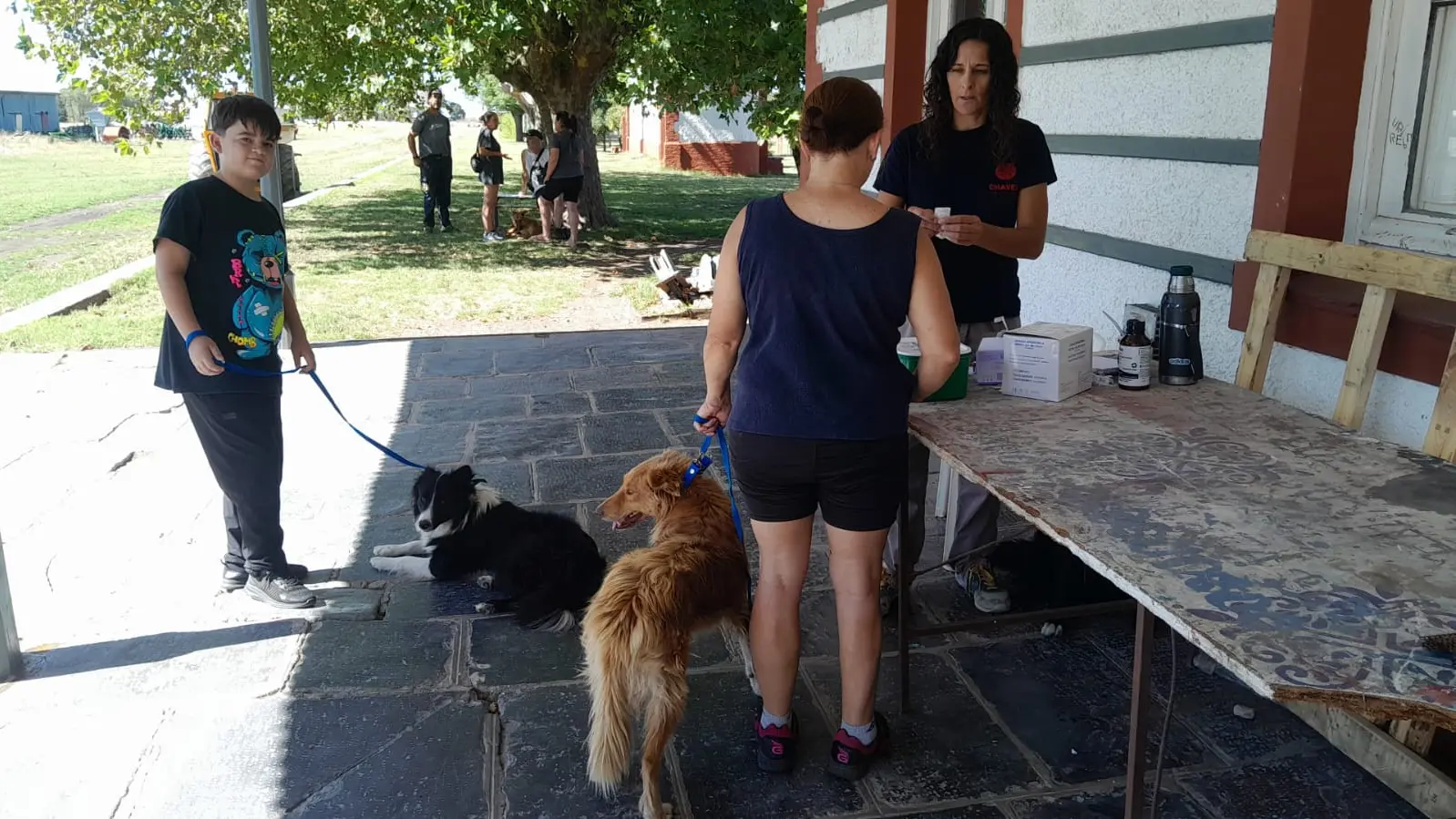 Más de 100 mascotas fueron vacunadas en De la Garma