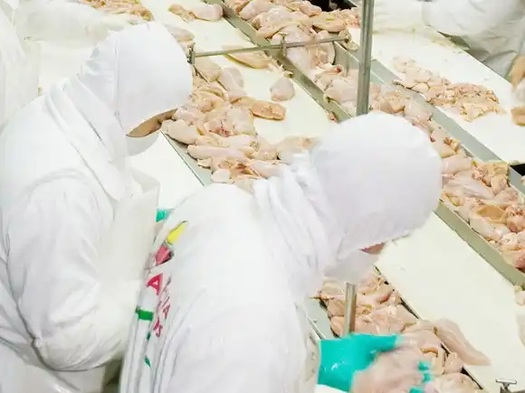 En Brasil controlaron sus brotes de gripe aviar en el sur del país y ahora regresan al comercio internacional