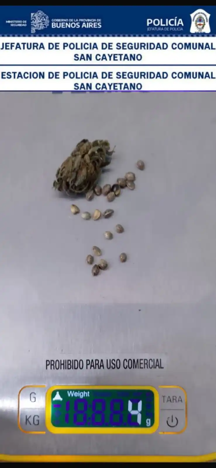 Sanca marihuana - 1