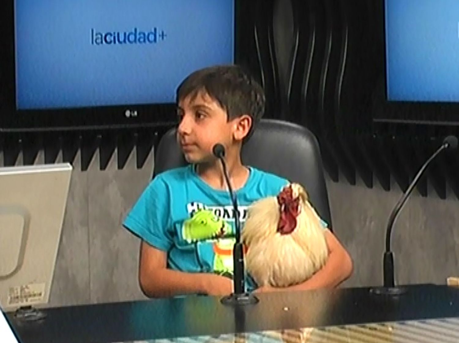 Santiago tiene como mascota un gallo | La Ciudad