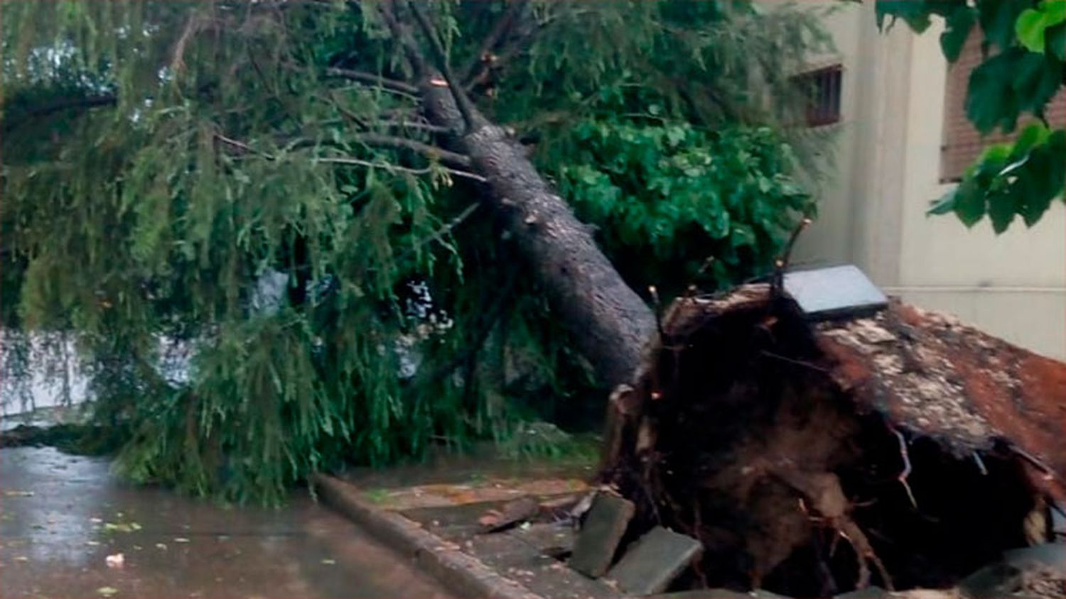 Fuerte temporal de lluvia y viento causó destrozos en localidades entrerrianas