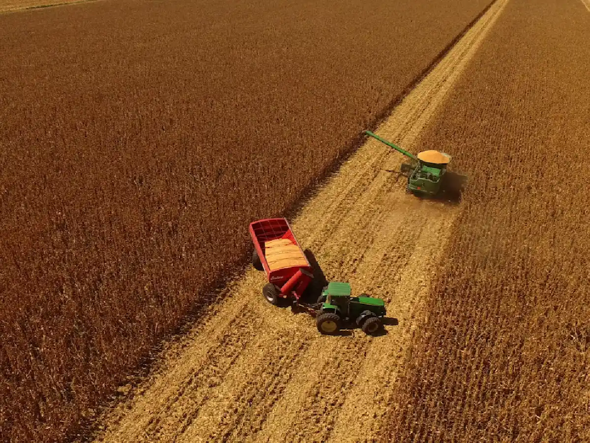 La causa sobre la inconstitucionalidad de las retenciones vuelve a la justicia de Córdoba