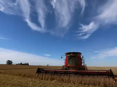 Con dos millones de toneladas, récord de exportaciones de soja para noviembre