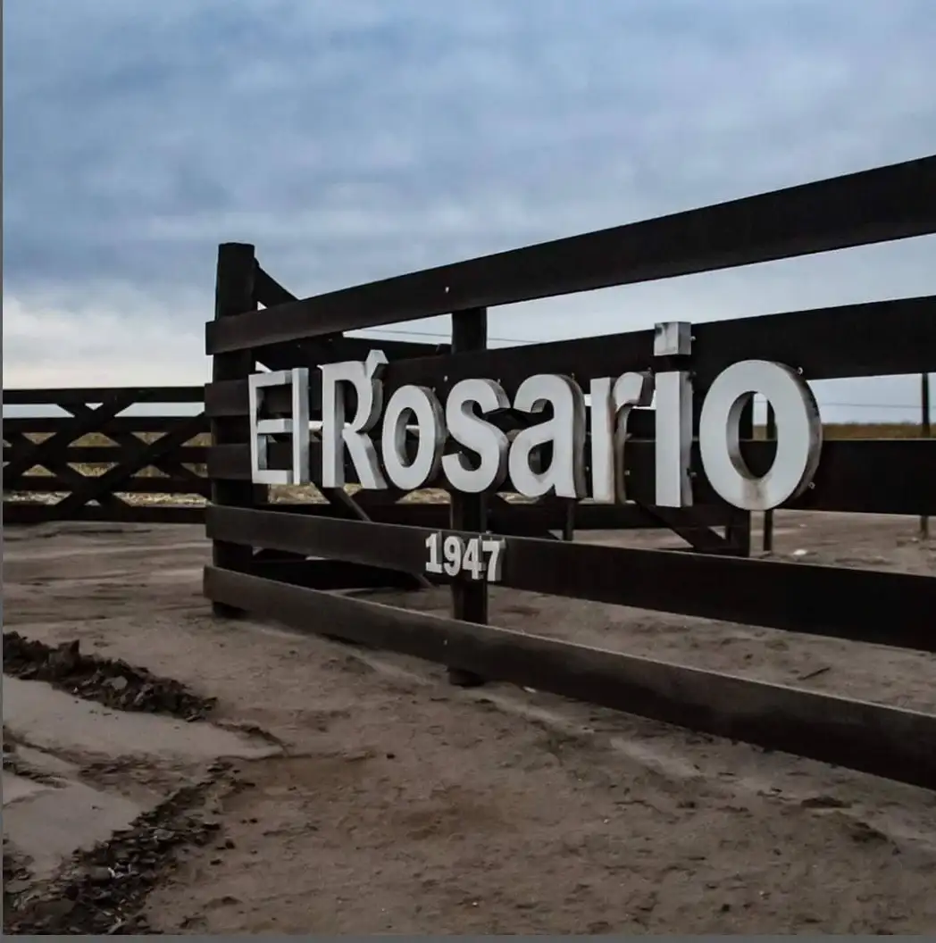 el rosario vacas - 1
