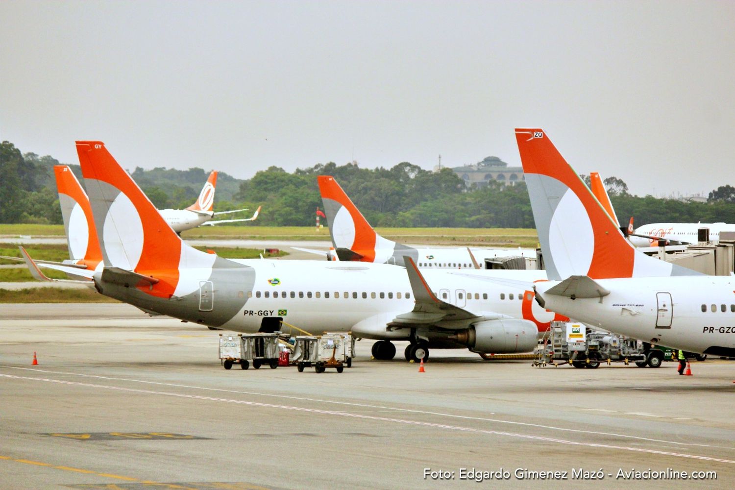 GOL Expands Brazil-Argentina Routes with New Flights and Increased Capacity