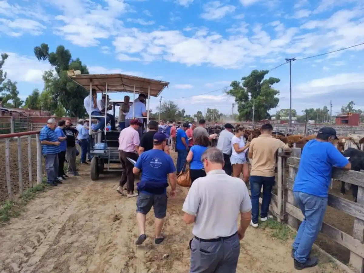 Repercusiones en Bahía Blanca tras la baja de retenciones